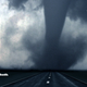 No cows in that tornado...
